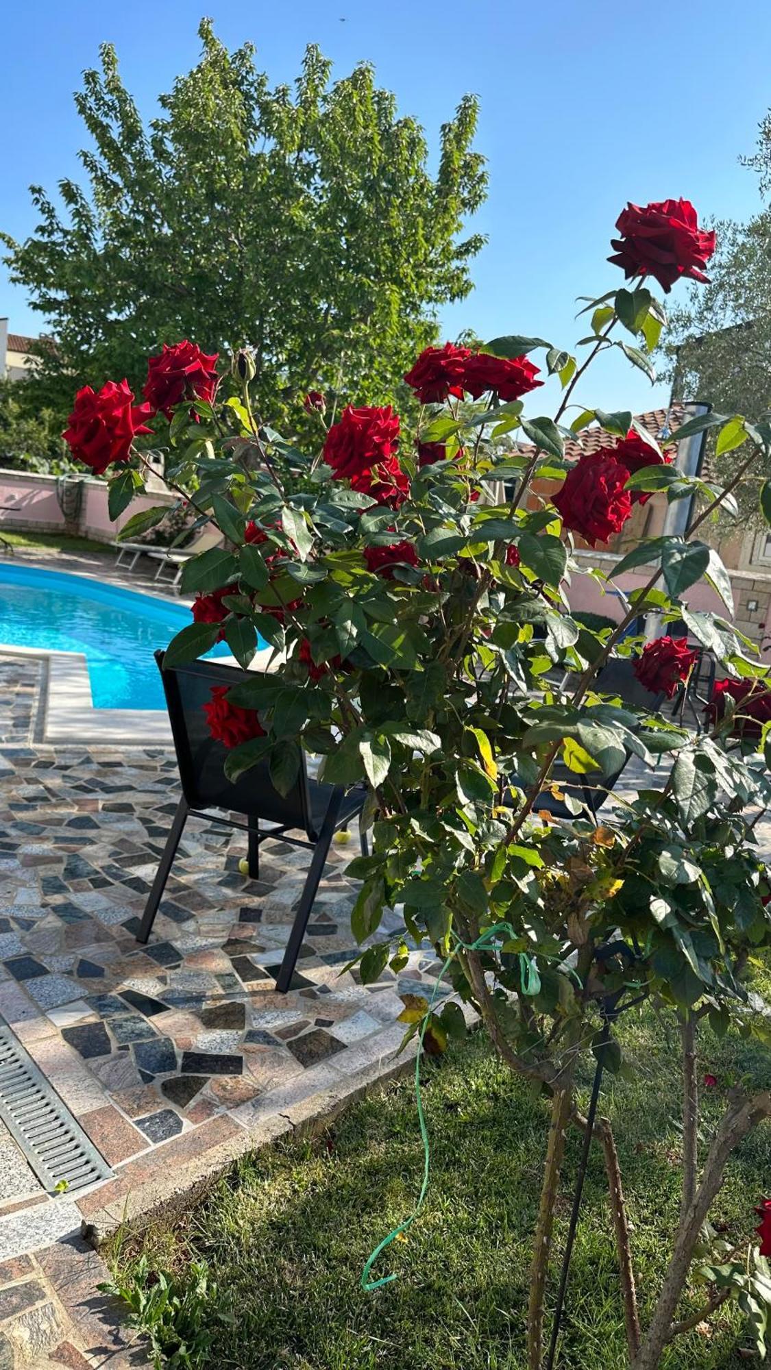 Villa Baldi -Apartmani Danny Tar-Vabriga Exteriör bild
