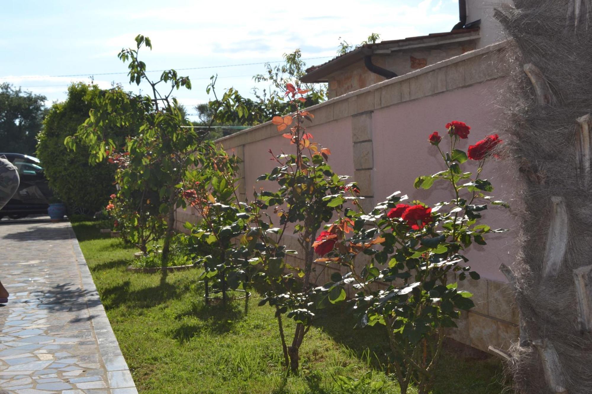 Villa Baldi -Apartmani Danny Tar-Vabriga Exteriör bild