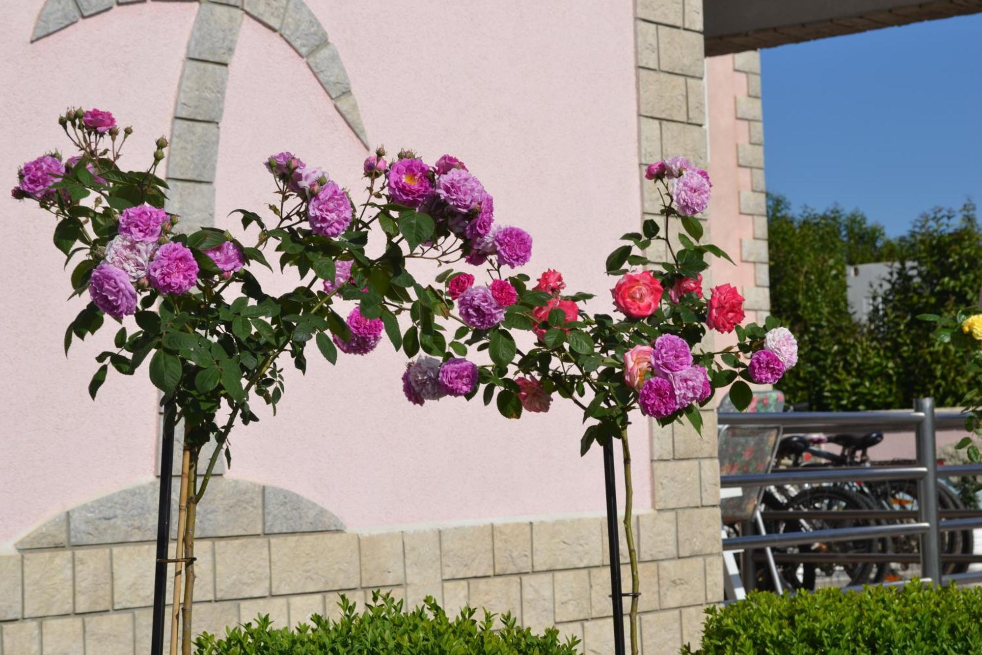 Villa Baldi -Apartmani Danny Tar-Vabriga Exteriör bild