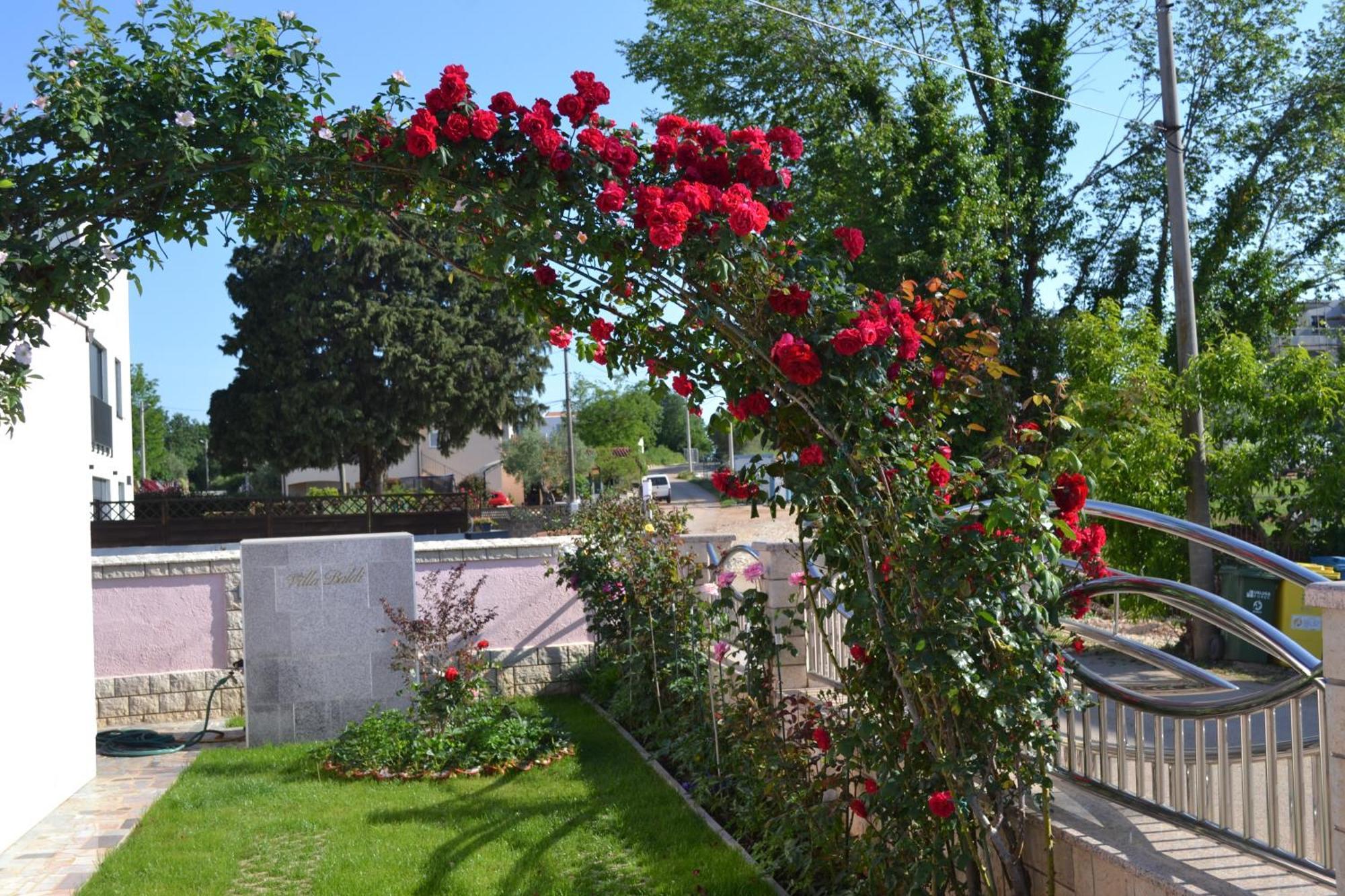 Villa Baldi -Apartmani Danny Tar-Vabriga Exteriör bild